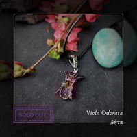 Image 4 of ☽ Viola Odorata ☾