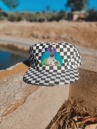 Dr. Rockso 