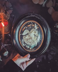 Image 1 of Relic diorama with swans 