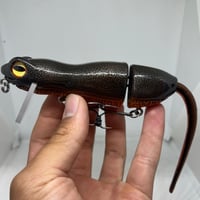 Image 1 of Silly Sally (Rough Skinned Newt)