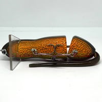 Image 3 of Silly Sally (Rough Skinned Newt)