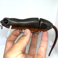 Image 1 of Silly Sally (California Newt)