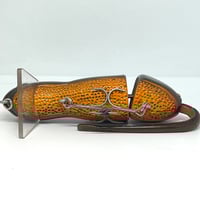 Image 3 of Silly Sally (California Newt)