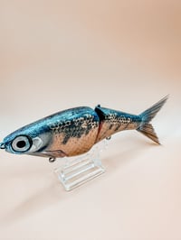Image 3 of Biggs Customs B1 ~ Striped Shiner ~ Custom Painted Fishing Lure ~ Slick Baits