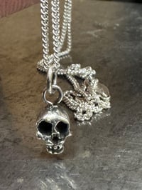 Image 1 of Tiny Skull Pendant & Chain