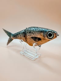 Image 3 of Biggs Custom Baits Minnow ~ Blackfire Bloom ~ Custom Painted by Slick Baits