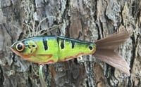 Image 2 of SPEEDBAITS Custom Airbrushed Swimbait DADE