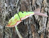 Image 3 of SPEEDBAITS Custom Airbrushed Swimbait DADE