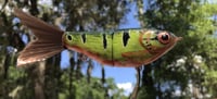 Image 4 of SPEEDBAITS Custom Airbrushed Swimbait DADE