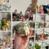 smashing pumpkins mug Image 4