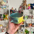 spiky matcha bowl Image 3