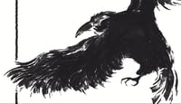 Image 3 of Observant Crow