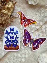 Image 1 of Butterfly & Moth Sticker Set