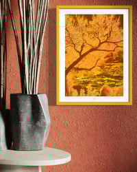 Image 4 of ORANGE CRUSH (24X18)
