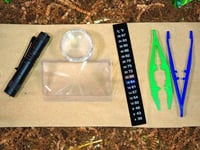 Image 2 of Compost Explorer Kit