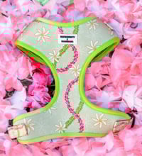 Choji Collection - Harnesses
