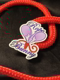 Image 2 of Rope Bunny