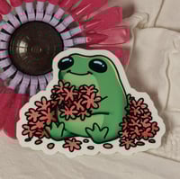 Image 1 of Frogge