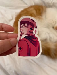 Shin sticker