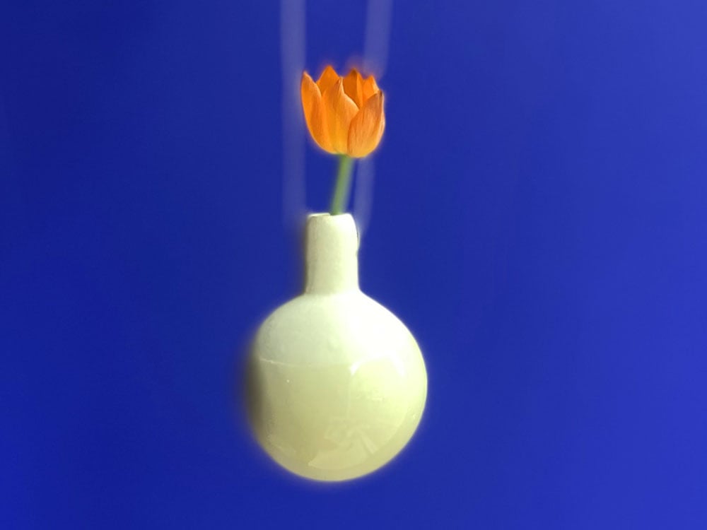 Image of VASE Float