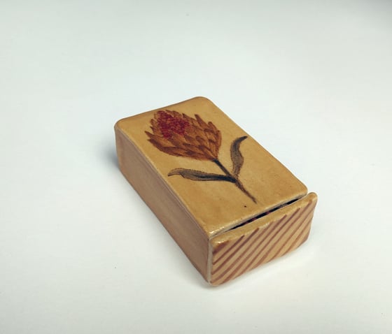 Image of Fiammiferina "Protea ocra"