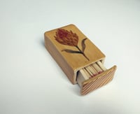 Image 2 of Fiammiferina "Protea ocra"