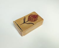 Image 3 of Fiammiferina "Protea ocra"