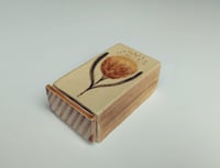 Image 1 of Fiammiferina "Protea"