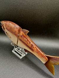Image 4 of HinK.O Shad 9” ~ Pearl Bronze ~ Slick Baits