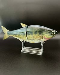 Image 2 of Hinko Shad Jr. ~ Large Mouth Bass ~ Custom Painted Swimbait ~ Slick Baits