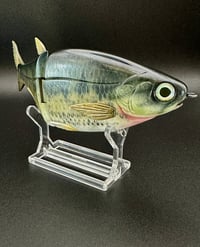 Image 4 of Hinko Shad Jr. ~ Large Mouth Bass ~ Custom Painted Swimbait ~ Slick Baits