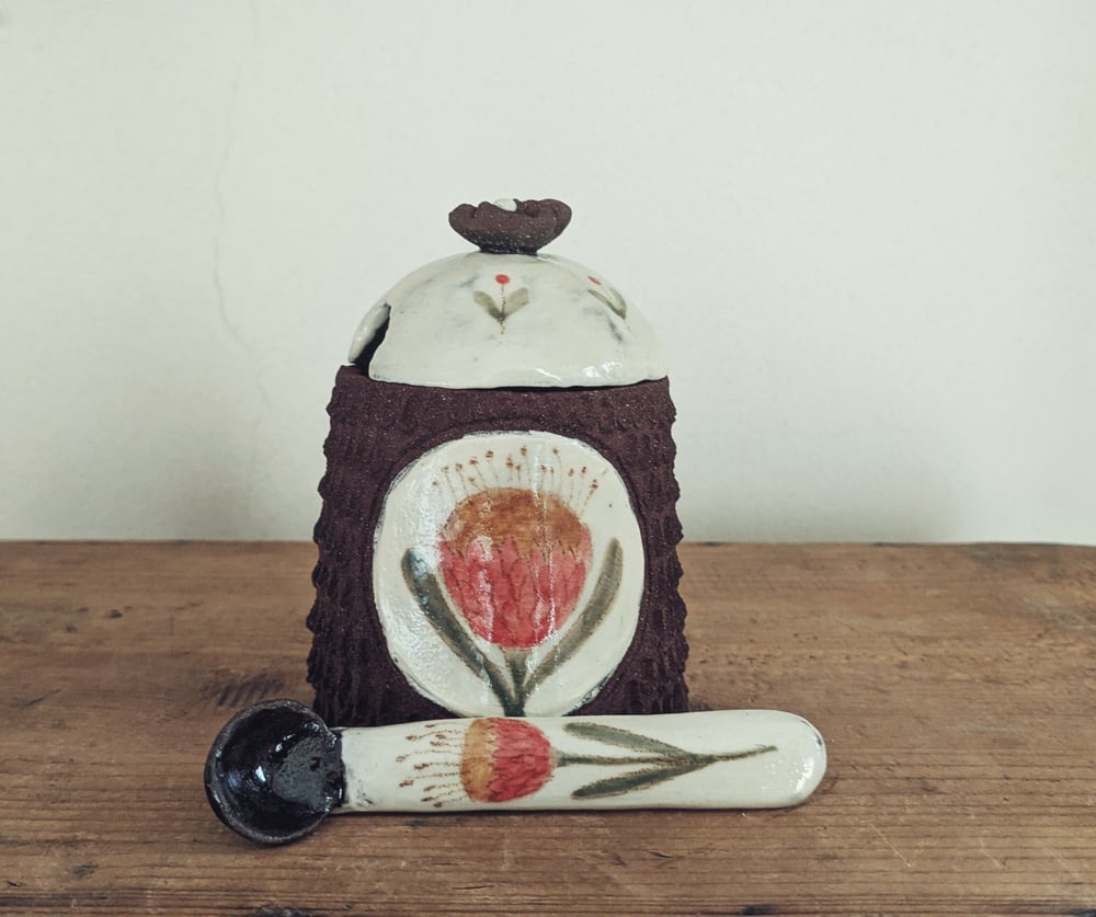 Image of Zuccheriera "Protea rossa"