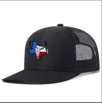 Texas state 