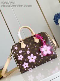 Image 1 of LV X TM Cherry Speedy
