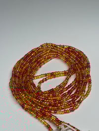 Image 2 of Phoenix 