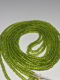 Image 2 of Fern 