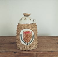 Image 1 of Zuccheriera "Protea Ocra"