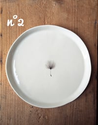 Image 2 of Piatti in porcellana