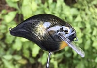 Image 3 of SPEEDBAITS Custom Airbrushed S-CRANK 1.5 Squarebill Crankbait Blasted Shad