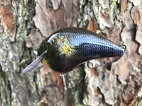 Image 5 of SPEEDBAITS Custom Airbrushed S-CRANK 1.5 Squarebill Crankbait Blasted Shad