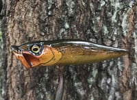 Image 1 of SPEEDBAITS Custom Airbrushed Topwater Popper