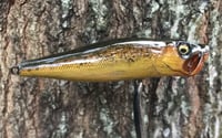 Image 2 of SPEEDBAITS Custom Airbrushed Topwater Popper