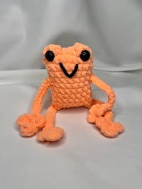 Image 5 of Assorted Leggy Frogs 