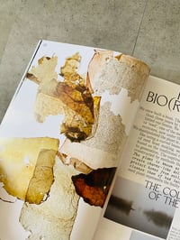 Image 2 of ROT issue 1 IMMUNITY