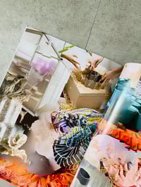 Image 4 of ROT issue 1 IMMUNITY