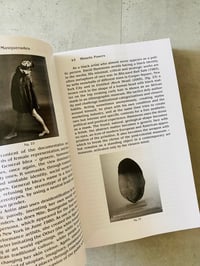 Image 2 of (MIS)READING MASQUERADES