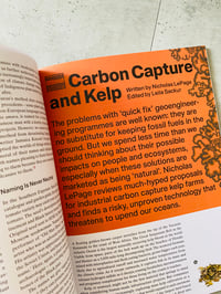 Image 3 of It’s Freezing in LA! 10: Plants