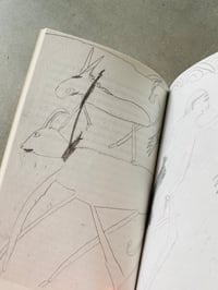 Image 3 of Fields by JULIEN BRUNEAU