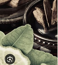 Bergamot + Oud