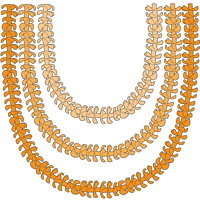 Lei Collection